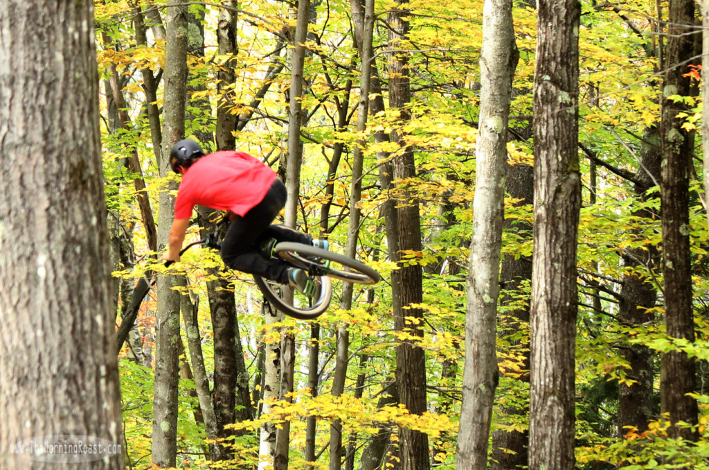 hauck-highland-dirtjump-big-hip-table-2013