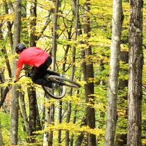 hauck-highland-dirtjump-big-hip-table-2013