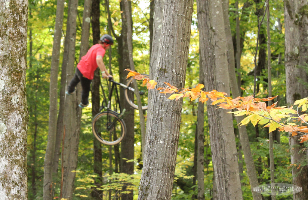 hauck-highland-dirtjump-no-foot-can-2013 zoom